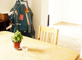 the recumbent kontrabass exchanges ideas with the potted basil and last night\'s lemon spritz...