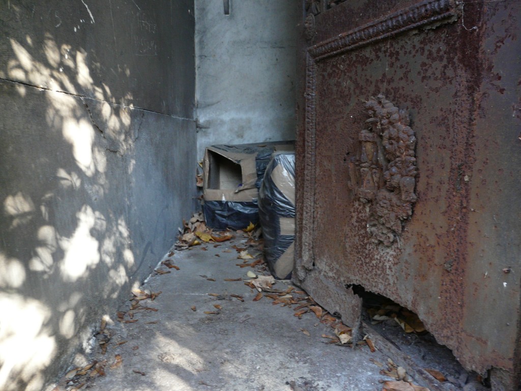 Cat houses in the crypt