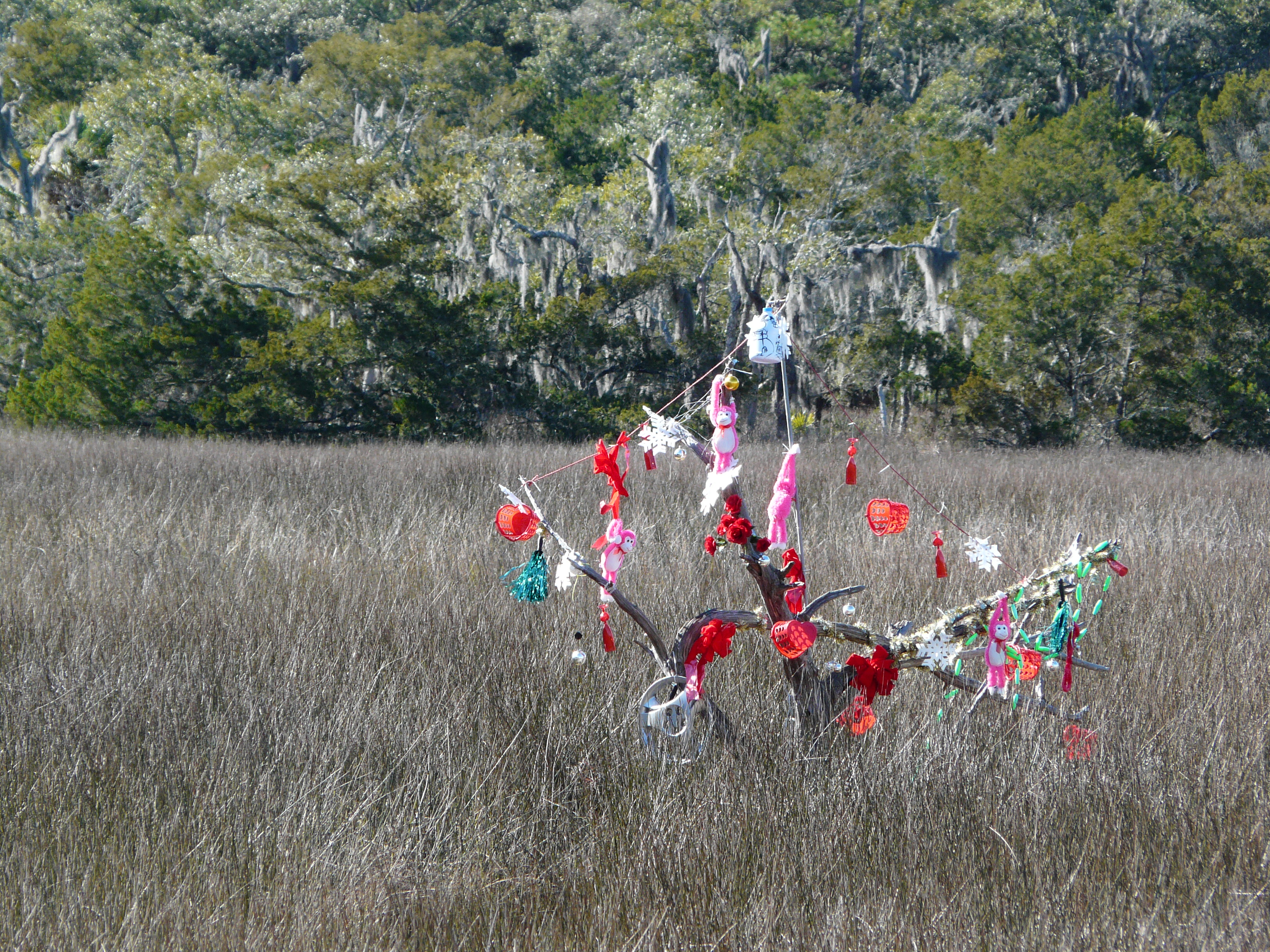 Blue Bottle Trees - South Carolina Lowcountry