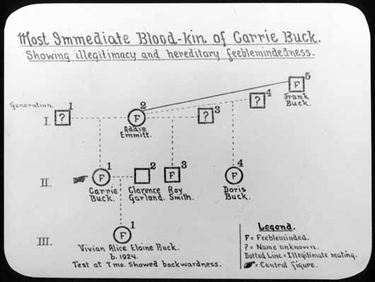 chart_Carrie_kin2